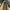 DICKIES Raider Wheat Workboot photo 3