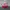 Jeep Vintage Luxury Hat Pria White Red