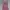 Juicy Couture Streetwear Y2K Jumpsuit Wanita Pink