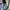 Sector paris vintage blue bootcut jeans photo 2