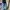 Sector Paris Vintage Blue Bootcut Jeans