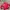 Diesel Streetwear Puffer Jacket Pria Red