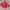 Diesel Streetwear Puffer jacket Pria red photo 1