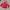 Diesel Streetwear Puffer Jacket Pria Red