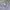 Adidas Streetwear Sportswear Sweater Pria gray photo 3