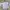 Adidas Streetwear Sportswear Sweater Pria gray photo 6