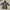 Uniqlo Gorpcore Casual Pea coat Pria black photo 1