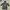 Uniqlo Gorpcore Casual Pea Coat Pria Black
