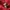 Vintage Hoody Pria red photo 3