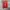 New With Tag Gianfranco Ferre Knitwear Original photo 8