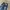 ADEN LONG PANTS DENIM BAGGY photo 4