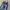 ADEN LONG PANTS DENIM BAGGY photo 2