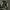 nb 327 photo 2