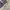 Y2K Henley Shirt Girl photo 4