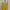 Minimalist Shirt Wanita Yellow