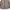 Skater Casual Formal shirt Pria multicolor gold photo 3