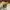 Nike Air Jordan 1 Low Wear Yellow photo 4