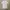 Y2K Levi’s Henley Shirt photo 4