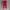 MJ92 - Celana Legging Kasual Merah Supreme photo 2