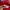 Trackpants Adidas Fb Red Original photo 4