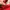Burberry Brit Red Collar Check Polo (S) photo 7