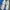Adidas Streetwear Y2K Sneakers Pria white black photo 3