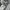 Kangol Big Logo Sweatshirt  photo 6