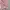 VINTAGE MILITARY SOFT PINK JACKET photo 4