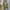 Minimalist Casual Crop top Wanita yellow photo 3