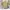 Minimalist Casual Crop top Wanita yellow photo 5