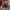 Bag kanken photo 8
