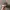 Hickory mechanic hat brim visor lemes amekaji japanese vinta photo 3