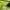 Adidas shortpants celana pendek running gym trail run tennis photo 4