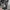 Alyn Paige black and white floral maxi dress size photo 5
