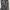 Alyn Paige black and white floral maxi dress size photo 4