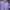 Minimalist T-shirt Pria purple photo 5