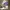 Gucci Luxury Casual Shoulder bag Wanita purple photo 5