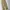 Pherrow's Vintage Casual Casual Pants Pria Khaki
