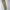 Pherrow's Vintage Casual Casual pants Pria khaki photo 3