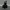 Black Croc Embossed Duffle Bag photo 4