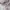 Uniqlo Y2K Casual Casual shirt Pria multicolor photo 4