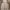 Floral lace coquette girly dress photo 2