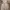 Floral Lace Coquette Girly Dress