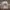 GILDAN HAMMER - MORGAN WALLEN 2023
" ONE NIGHT AT A TIME TOU
