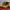 Timberland Vintage Streetwear Boots Pria Orange