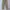 Alpha Industries Streetwear Casual Casual pants Pria multicolor photo 4