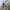 Alpha Industries Streetwear Casual Casual pants Pria multicolor photo 5