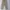 Alpha Industries Streetwear Casual Casual pants Pria multicolor photo 3