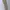 Alpha Industries Streetwear Casual Casual pants Pria multicolor photo 2