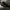 Nike Sportswear Sneakers Pria black photo 2